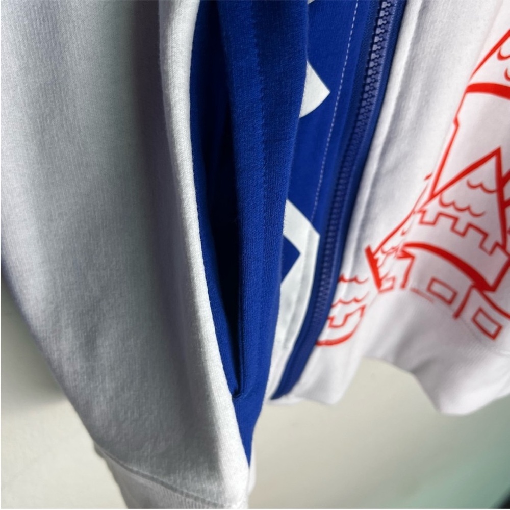 WALT DISNEY WORLD Resort 2021 Zip Hoodie - Picture 9 of 15
